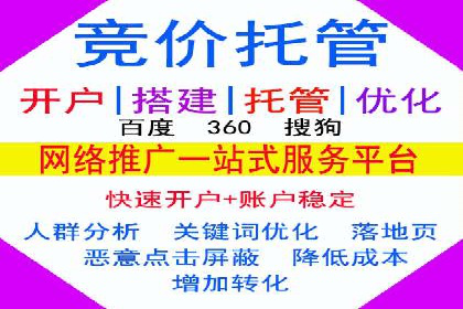 某企业通过百度SEM实现ROI最大化的案例